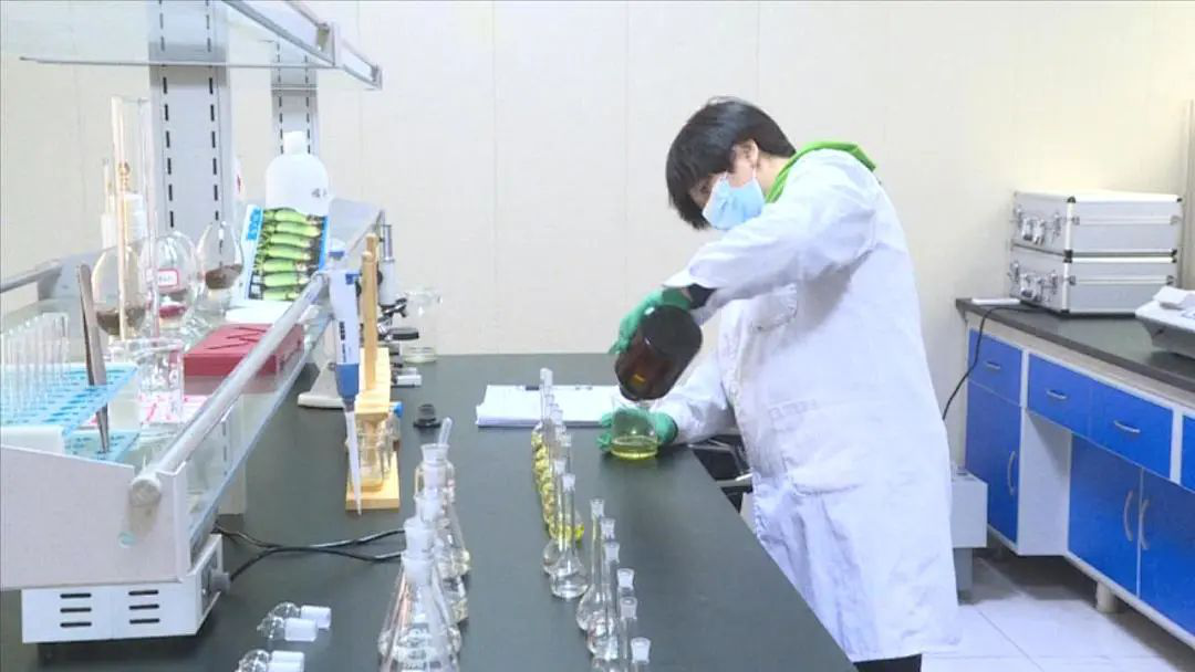 定西市科学技术局 工作动态 科技赋能 绿色农业&ldquo;减肥&rdquo;增效 --甘肃印象生物有机肥料公司强科技促发展成效显著