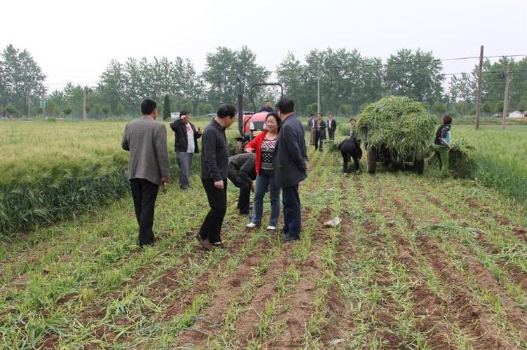 盐城试验站陈和研究员一行来安徽考察交流