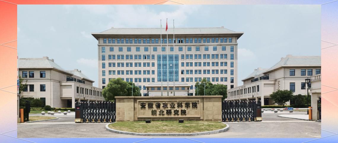 太和县农业科技的创新发展与现代化推进