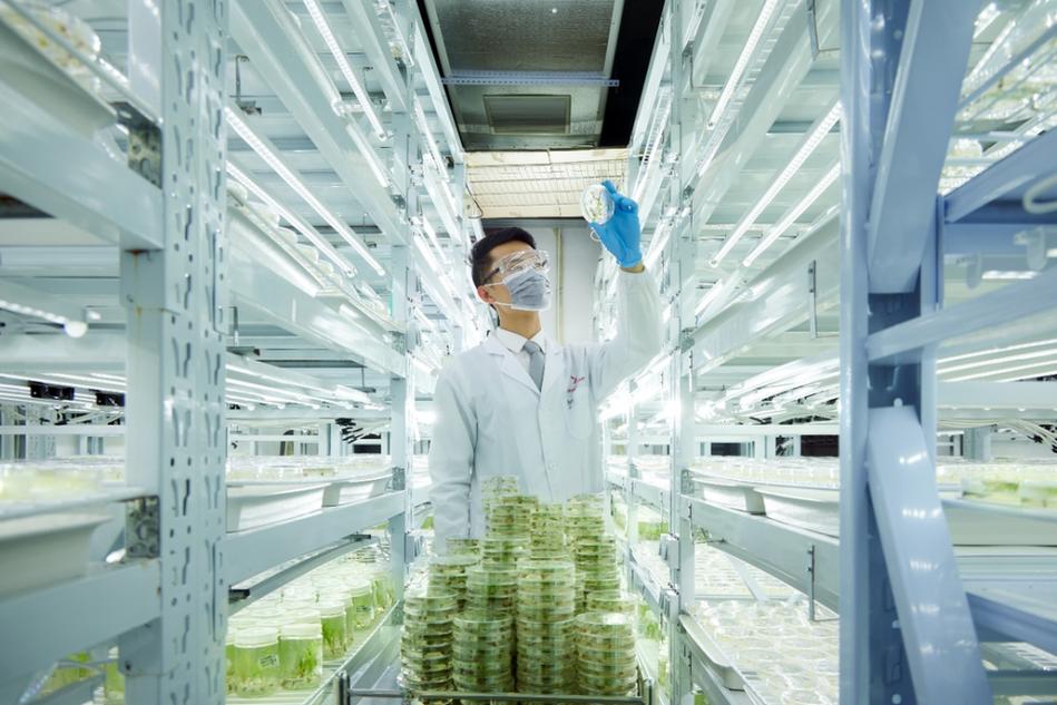 科技创新助力农业发展!青岛新增3家农业农村部企业重点实验室