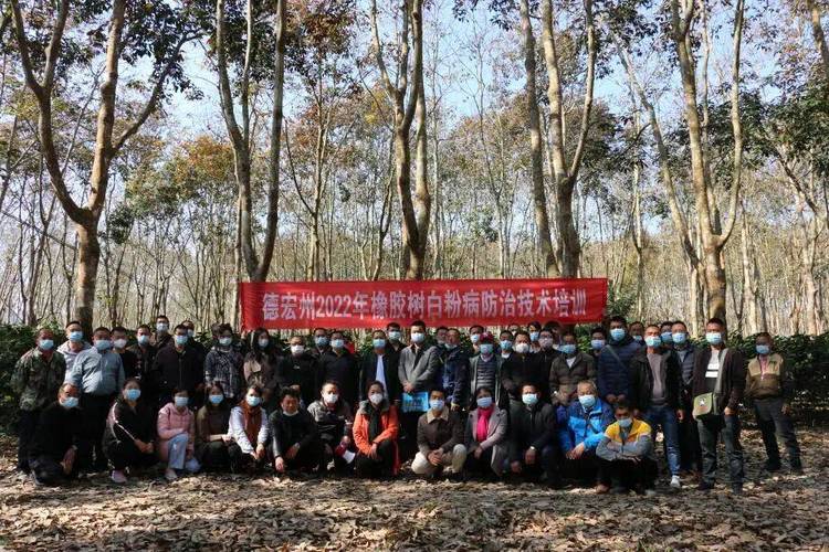 农业科学研究所被纳入"国家天然橡胶产业技术体系德宏综合试验站"建设